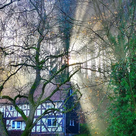 Feriehus Am Hirtzborn
